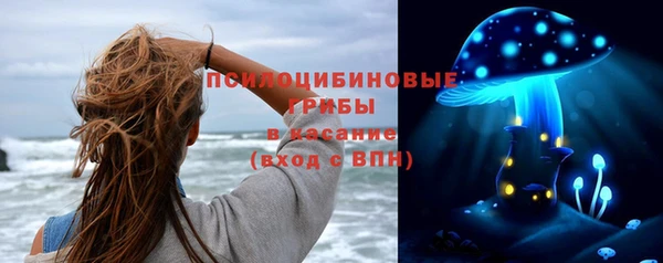 ПСИЛОЦИБИНОВЫЕ ГРИБЫ Магадан