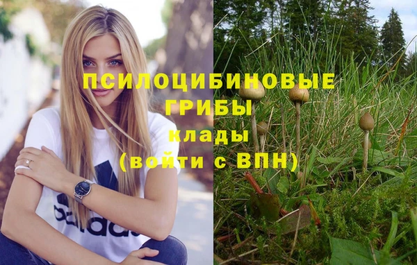 ПСИЛОЦИБИНОВЫЕ ГРИБЫ Магадан