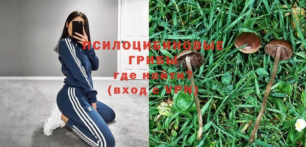 СК Магас