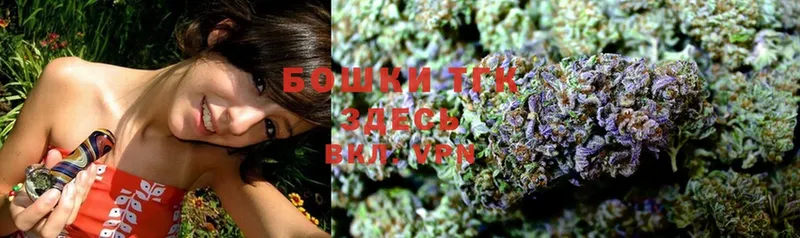 Конопля SATIVA & INDICA  закладка  Динская 