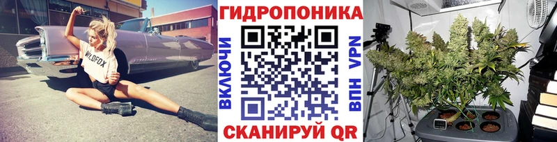 Бошки марихуана OG Kush  Динская 